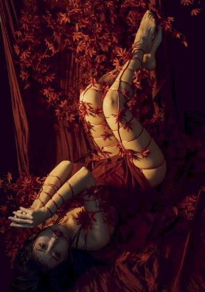 小林家的龙女仆 动漫_4K最新电影在线观看