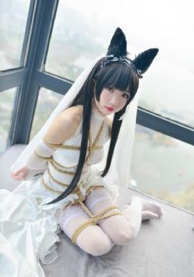 花蝴蝶免费观看视频_BT磁力天堂在线观看高清