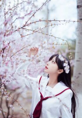 父老乡亲免费全集在线观看_高清手机免费观看完整