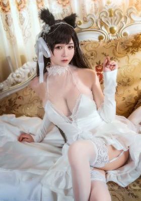 城市猎人在线观看_BD高清迅雷在线观看